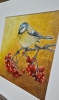Eurasian blue tit (2021)