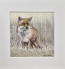 Fox (2021)