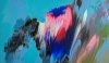 Symphony of colors
