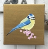 Garden Birds on Gold- Blue Tit