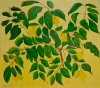 Lemon Love: Sunlit Jewels on the Branch