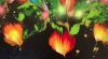 Night Blooming Eden