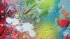 Wildflowers-1 