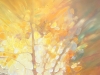 Autumn Beckons