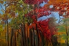 Autumn Walk 2