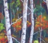 Birch Trees