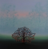 Blackthorn