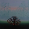 Blackthorn