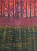 Bog