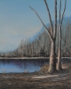 Cold Spring