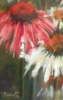 Dancing Coneflowers