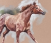 Clipped for Winter - Chestnut Horse Study 3