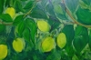 Lemons in Green