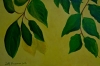 Lemon Love: Sunlit Jewels on the Branch