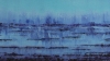Drizzle