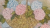 HYDRANGEAS IN BLOOM