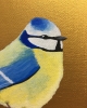 Garden Birds on Gold- Blue Tit