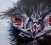 Emu Bad Hair Day