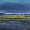 Evening Swamp