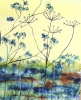 Fen Lace