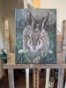 Hare and Dandelions
