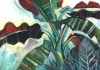 Hothouse