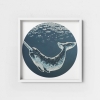 Starlit narwhal