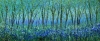 Bluebell Haze
