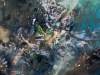 Swallow Angel 140 x 140 cm XXL painting 