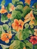 Nasturtium watercolour painting 