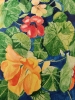 Nasturtium watercolour painting 