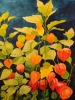 Chinese lanterns watercolour 