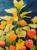 Chinese lanterns watercolour 