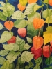 Chinese lanterns watercolour 