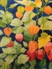 Chinese lanterns watercolour 