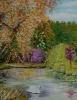 Velvet Pond and Golden Leaves