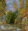 Swans on a serene forest lake