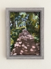 Woodland Path 