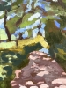 Woodland Path 