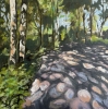 Dappled woodland light