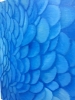 Blue Parrot