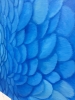Blue Parrot