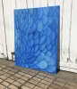 Blue Parrot