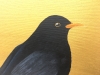 Garden Birds on Gold- Black Bird