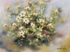 Gleam Among Blossoms