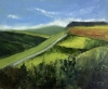 Knapp Copse Devon
