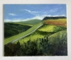 Knapp Copse Devon