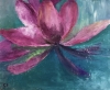 Water Lily