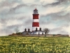 Lighthouse amongst sea of gold