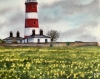 Lighthouse amongst sea of gold